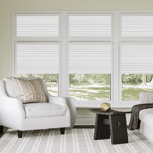 Darwin Snow Perfect Fit Honey Comb Blind | Blinds.Online