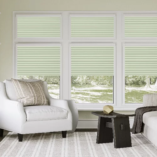 Delia Moss Perfect Fit Pleated Blind | Blinds.Online