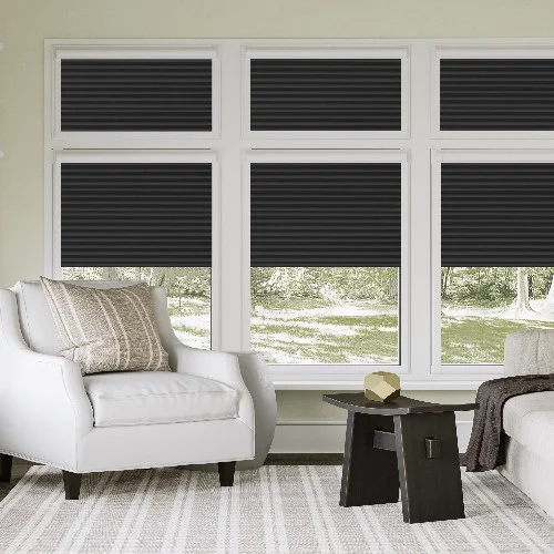 Louise Khol Perfect Fit Pleated Blind | Blinds.Online