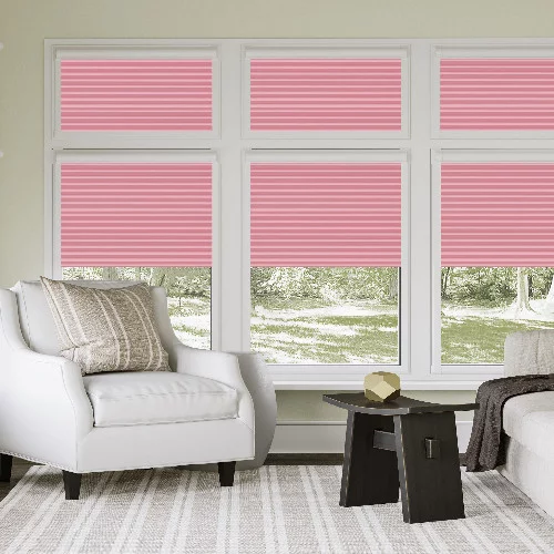 Octavia Rose Perfect Fit Pleated Blind | Blinds.Online