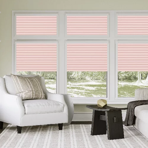 Watergate Rose Perfect Fit Pleated Blind | Blinds.Online