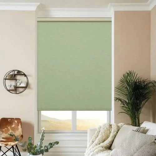 Eudora Fern Roller Blind | Blinds.Online