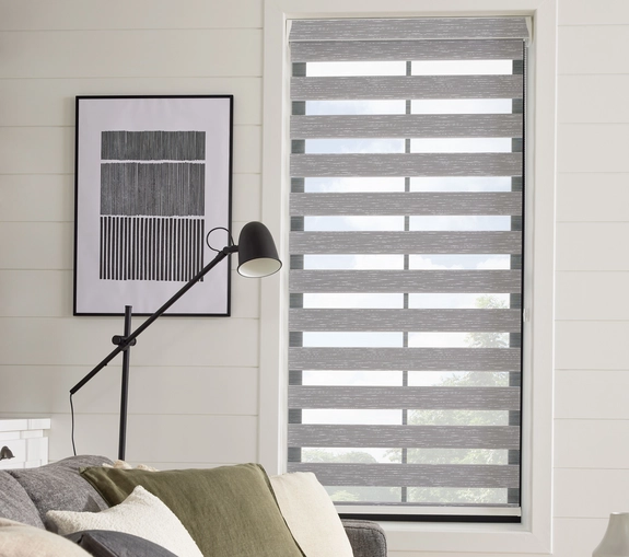 Day and Night Blinds (97)