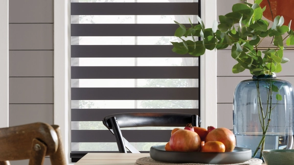 Day and Night Blinds (114)