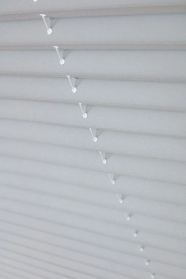 Pleated Blinds (38)